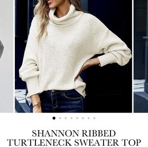 Turtleneck Sweater